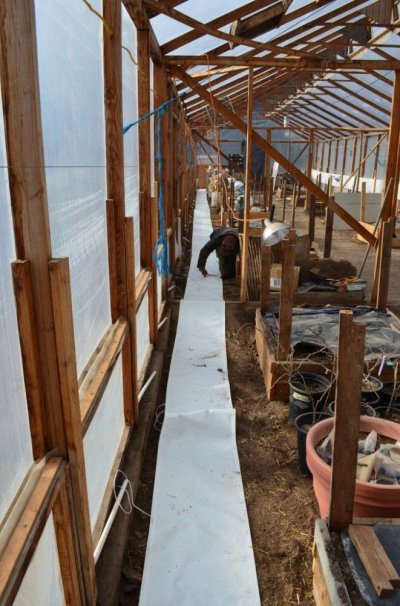 Greenhouse3