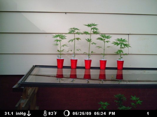 MDGC0025(1).JPG