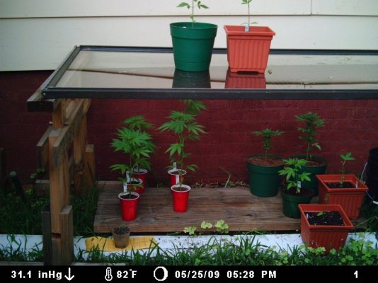MDGC0036(1).JPG