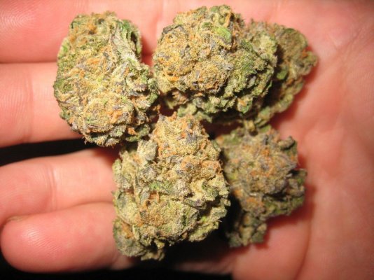 Girl Scout Cookies & Friends