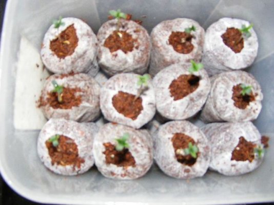 BilloBudProductions090213.JPG