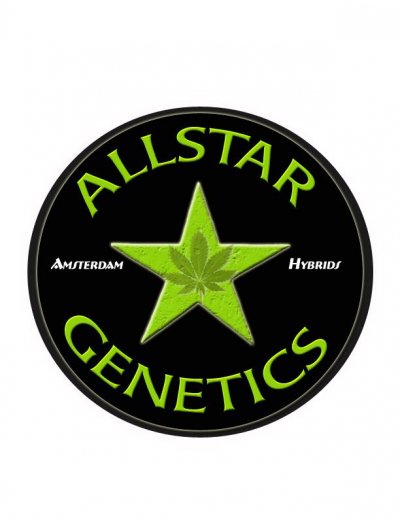 allstar.jpg