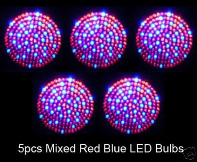 5 leds.JPG