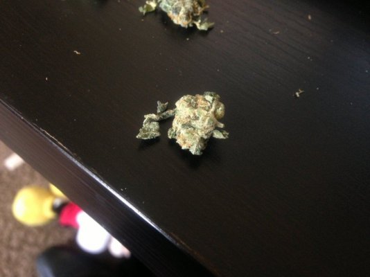 Smokin chronic @ PICNICS! with Jeezer :)