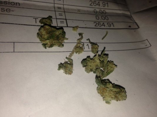 Smokin chronic @ PICNICS! with Jeezer :)