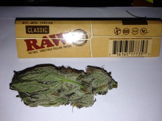 Nice bud from LEDs