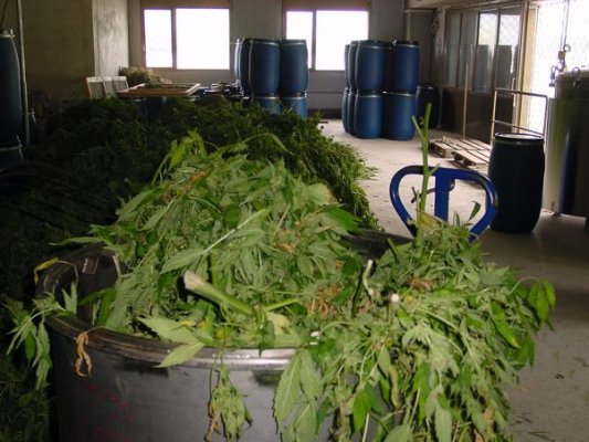 distilroomoilmakingA.jpg
