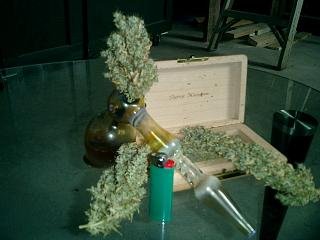 64910-10_Diesel_wake-n-bake.jpg