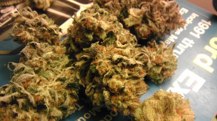 Strawberry Cough cut?