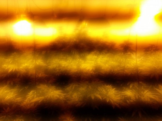 20130427_151345.jpg