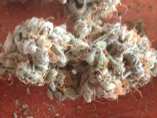 Hello from oregon