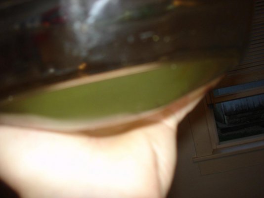 stufff 010.jpg