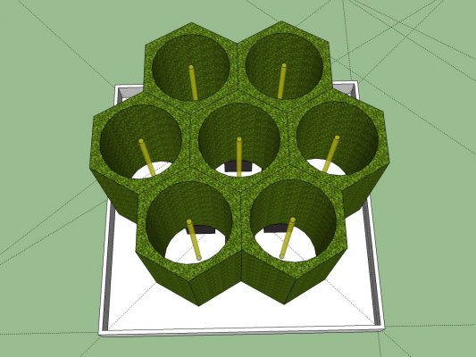 meet the honeycomb