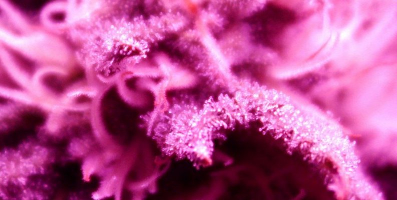 Crystal
