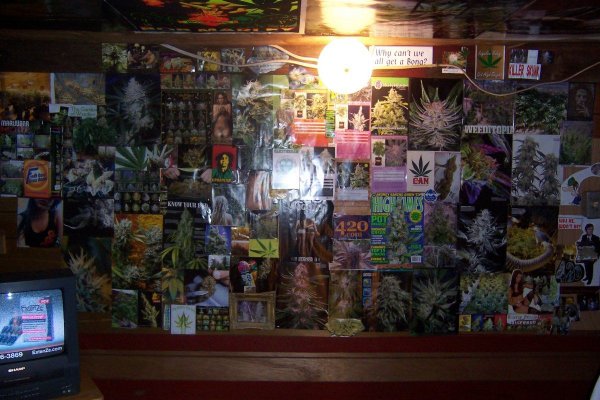 *Welcome to the Dungeon of Dank*