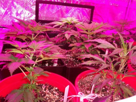 23 days alive 027.JPG