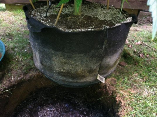 IMG 15841 IMG 15841
