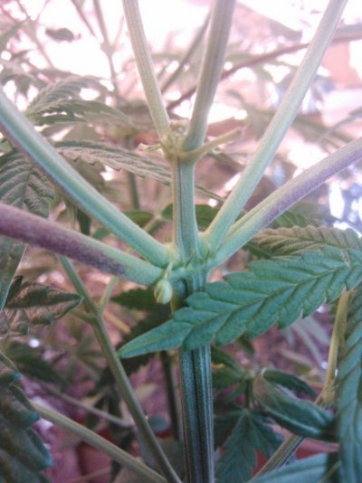 male or female?HELP