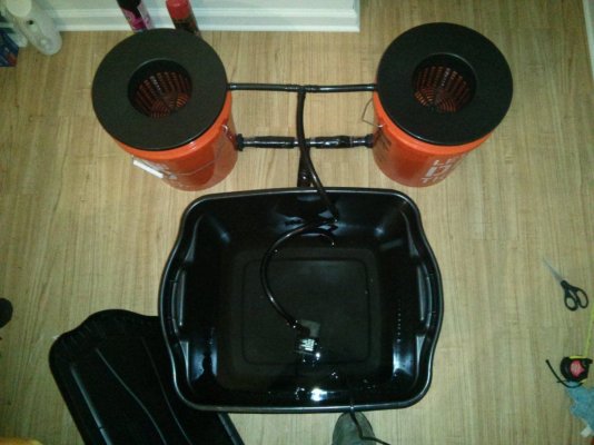 2 5gl bucket rdwc!!!