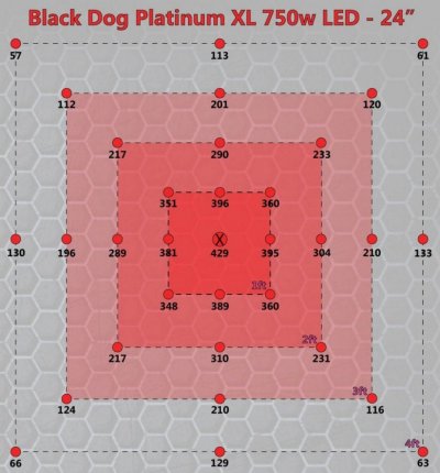 black-dog-platinum-xl-u-universal-series-par-test-review.jpg