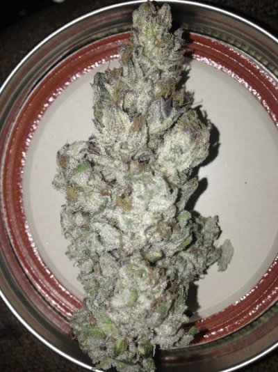Girl Scout Cookies & Friends