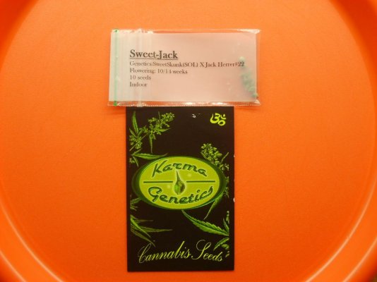 Stone's Grow! "Sweet Jack" Karma Genetics Test grow