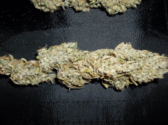 Goji OG - ( Unicorn OG )