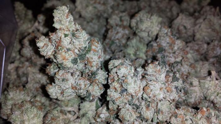 A few shots of my rooms growing in Beds with some new strains WIFI X SOUR D and...