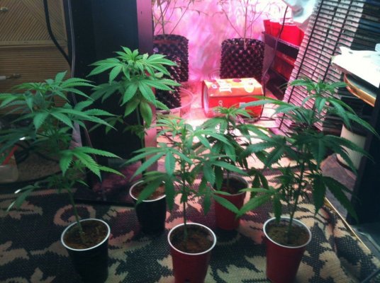 Peeking into BakedReality's Garden!