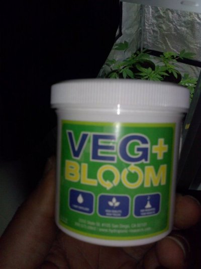 CAM00120.jpg