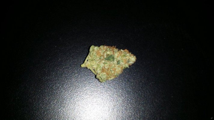 = The BEST OG Kush Clone Only=