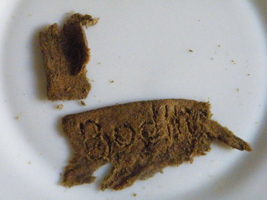 2009_0717bodhibubble0001.jpg