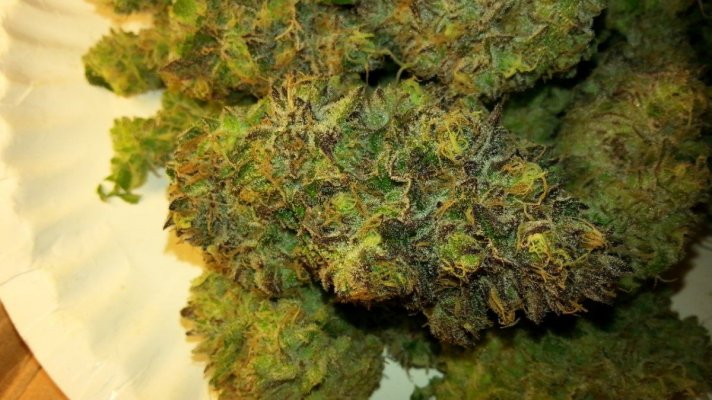 F'ing some things up in 2014 (MedGrow)