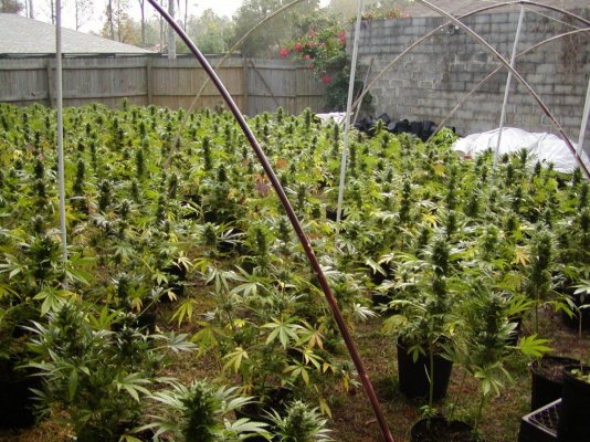 05 harvest time3.JPG