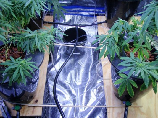Quick DWC  Res b