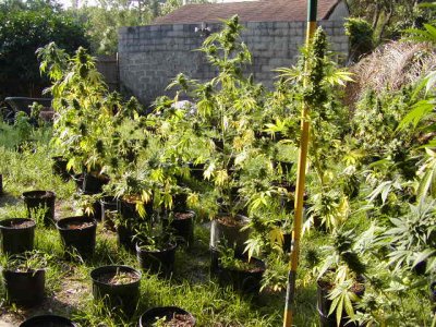 JLP groop pic 2.JPG