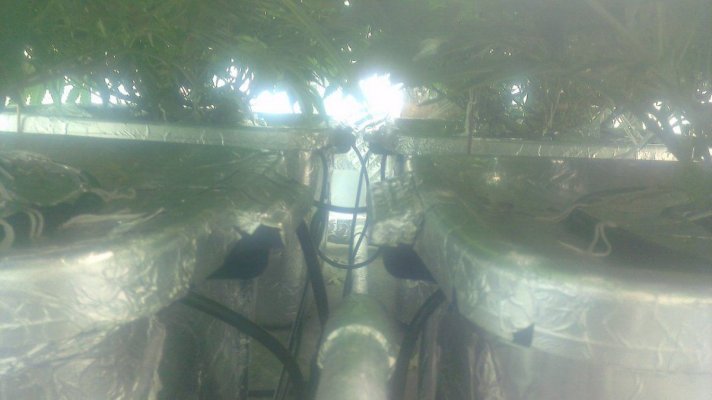 IMAG0185.jpg