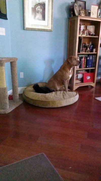 IMAG0708.jpg