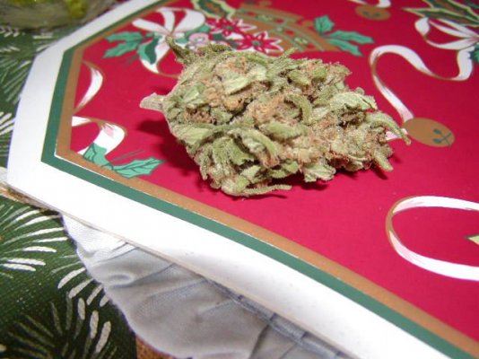 cured sk1 bud1.JPG