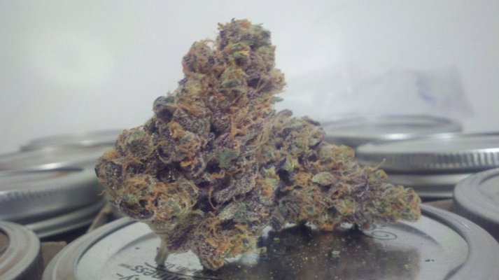Chem 4 x GSC # 1