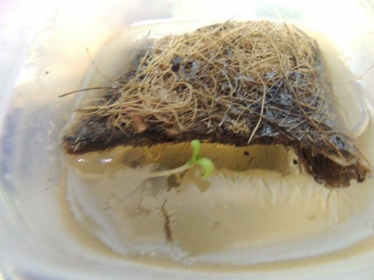 DSCN1779.JPG