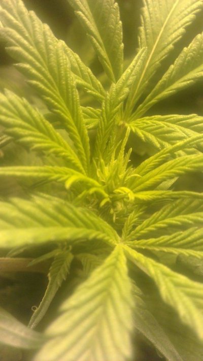 IMAG0301.jpg
