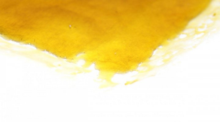 Green Dot Labs Loompa Farms Grows