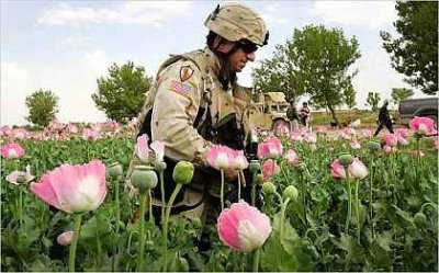 15afghan opium