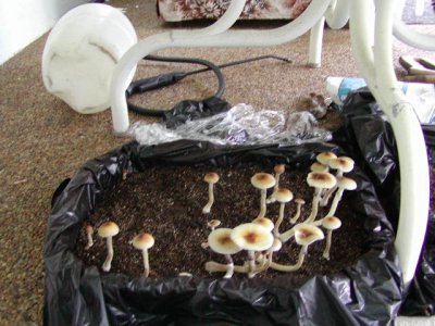 2nd flush porch casing.JPG