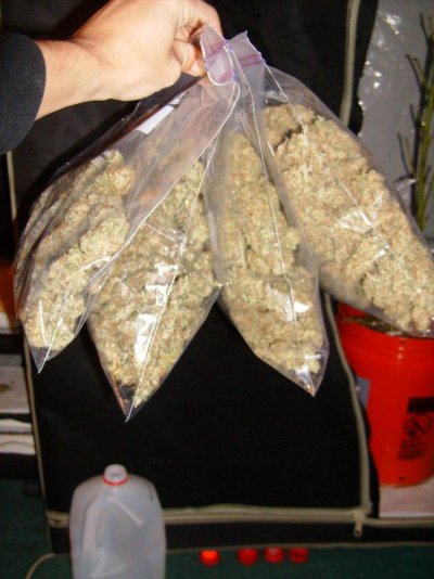HPIM8585.JPG