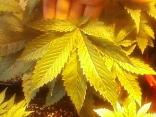 photo-0034.jpg