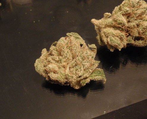 DECAP - Anyone have frostier nugs than this???