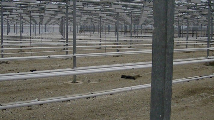 the world's largest production site