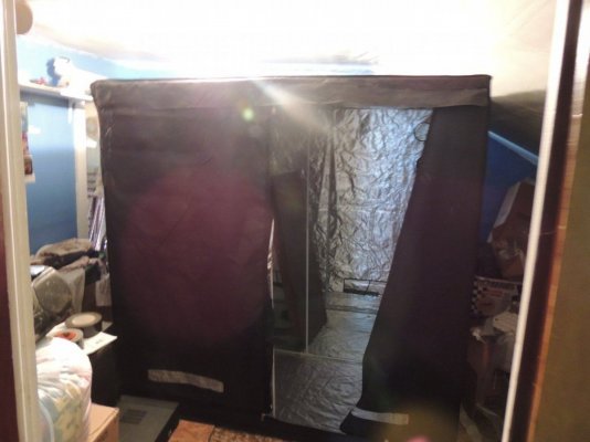 DSCN2254.JPG